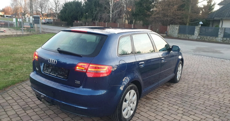 Audi A3 cena 31999 przebieg: 260569, rok produkcji 2010 z Piotrków Kujawski małe 781